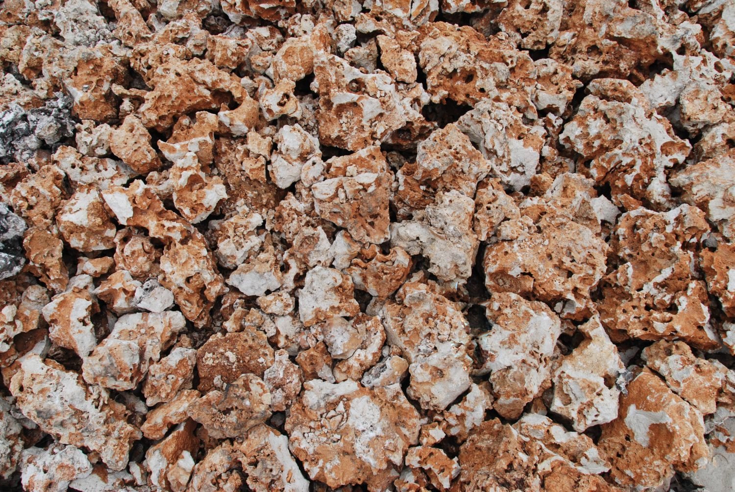 🌊 시라호 해변(시라호 카이간) 이미지 8